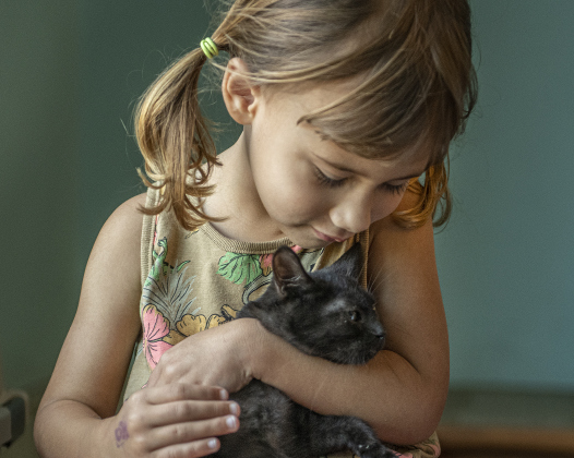 Three-and-a-half year-old Isadora Moreira pets a kitten.