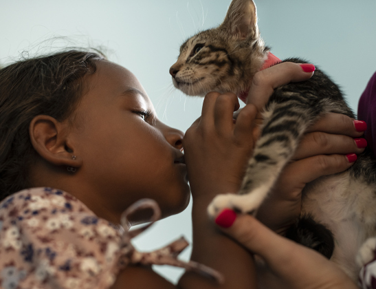 4-year-old Kacelyn Miles kisses a kitten.