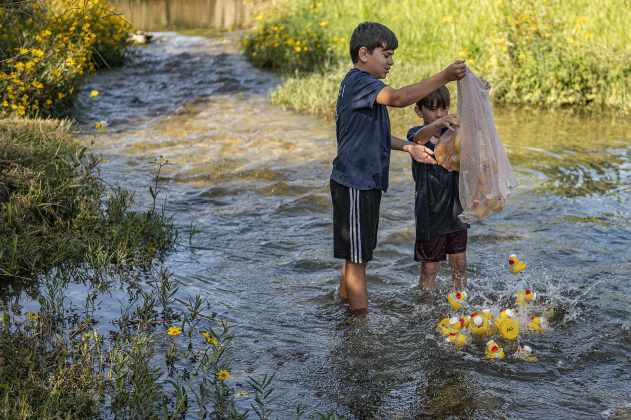 Jude Marquez, 10, and his brother Micah, 6, helped send rubber ducks into the San Gabriel River  during the annual Duck Race held Saturday, October 21, 2023 at San Gabriel Park.   The annual event is a fundraiser for the  American Association of University Women (A.A.U.W.). 50 rubber ducks were released into the water in five separate heats.  The top winners in each heat were gathered together for a championship heat.