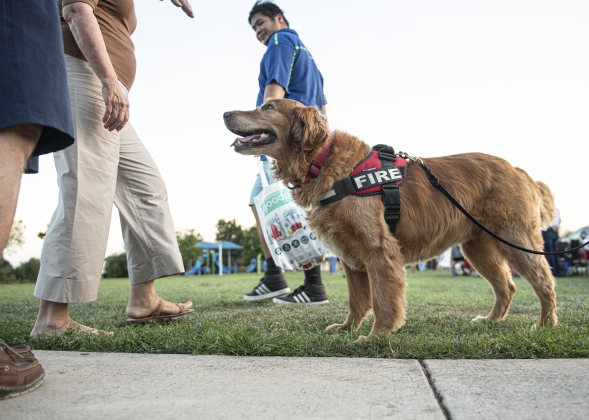 Koda, the Georgetown Fire Department's official fire department dog, now 6-years-old,  attended a National Night Out event at San Jose Park with her handler, Deputy Fire Marshall Jonathan Gilliam.