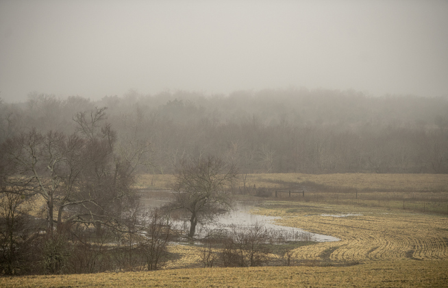 Williamson County, TEXAS: A field along County Road 414 is filled with moisture and fog on Tuesday afternoon, January 23.