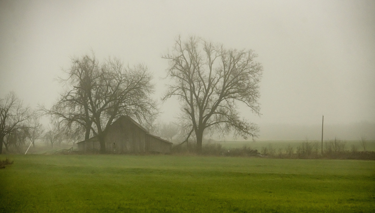 A barn along County Road 418 is surrounded by fog on Tuesday afternoon, January 23.