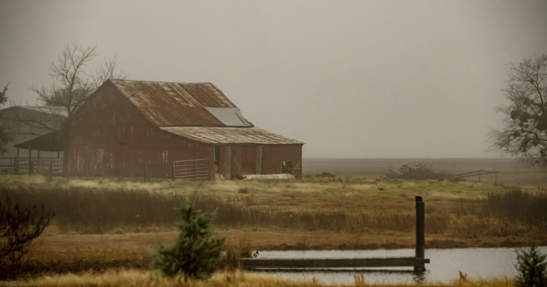 Fog surrounds a barn and pond along County Road 387 on Tuesday afternoon, January 23.