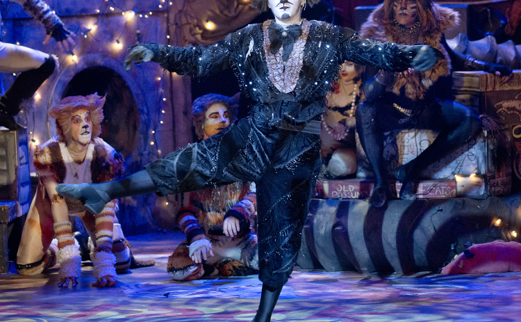 Brice Rafferty, as Mr. Mistoffelees, is shown in a scene from Cats at the Palace Theatre February 13, 2014.