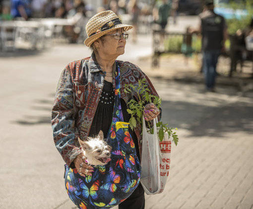 Shopper Lilly Martin totes her chihuahua named Sarah in a carryall bag while also carrying tomato plants she purchased during Market Days.