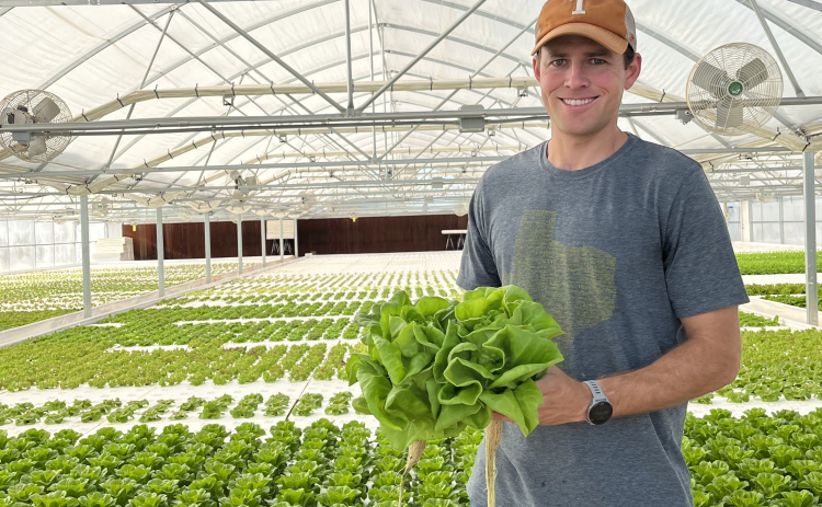  Kyle Massey is the owner of Lone Star Lettuce Growers, a hydroponic farm in Georgetown. 