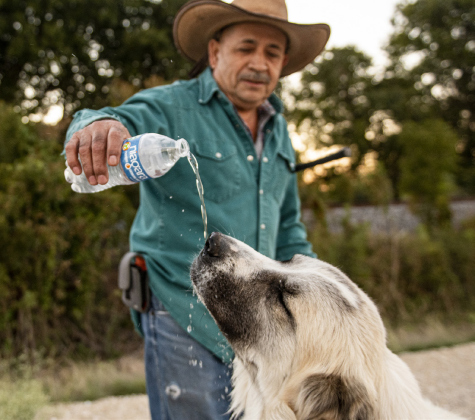 Rosalio Rodriguez offers Rambo a cool drink, taking a brief break.
