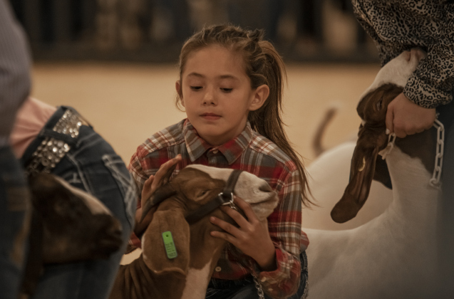 Jerrene Martinez, 9, a member of the Liberty Hill FFA program, shows her goat, Bolt.
