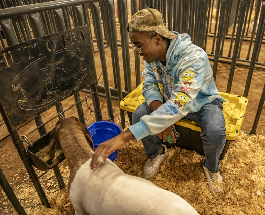 Joshua Cole, 17, with Hutto FFA, spends time with his goat, Gabe.