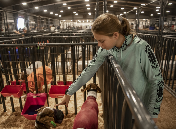Leianne Kirchner, 14, with Thrall 4-H, with her goats, Hope, Grace and Faith.