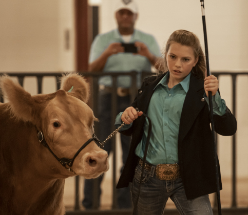 Leianne  Kirchner, 13, a member of the Thrall FFA, shows her steer, Striker.
