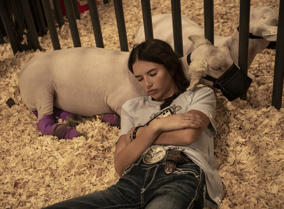 Elin Nichols, 15, a member of the Georgetown FFA program, naps with her sheep, Baloo.