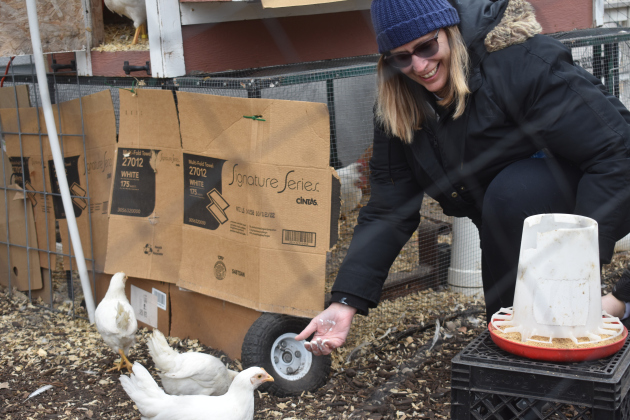 Sue Landry tends the several dozen chickens that will be moving soon to Goodwater’s new deluxe coop. (Photos by Katherine Anthony)