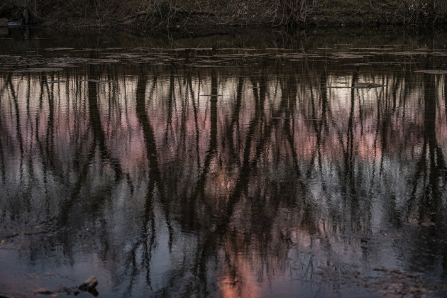 Trees are reflected in the San Gabriel River near San Gabriel Park a little after sunset  on New Years Eve, Saturday, December 31, 2022.