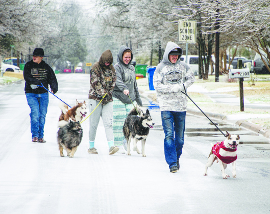 Friends brave an icy day to walk their dogs near North Drive in Taylor on February 3, 2022.  (Sun Archive)