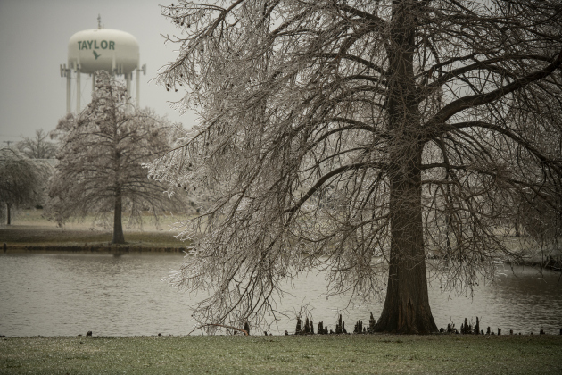 A City of Taylor water tower  is seen in the distance beyond an ice-covered Bull Branch Park on Wednesday, February 1.