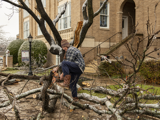 Williamson County left many areas without power, with downed trees throughout the area. Temperatures began to climb above the freezing mark by Thursday.
