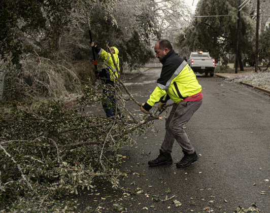 Taylor City Council member Robert Garcia, front, helps City of Taylor staffer Chris Gonzales clear downed limbs and trees along Meadow Lane Wednesday, February 1.