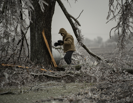 Residents continue to clear tree limbs from their properties. (Photo by Andy Sharp)