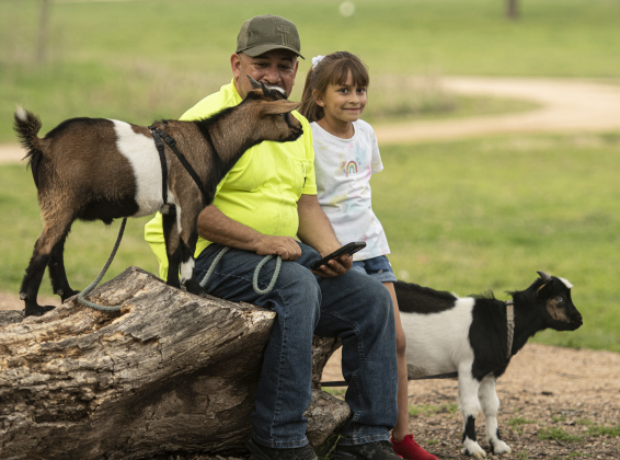 Jose Gandara of Georgetown spent a relaxing afternoon at Berry Springs Park & Preserve Wednesday, March 1, 2023 with his daughters Sophia, 10, and Julia, 7, accompanied by the family's pet goats, Biscuit and B.J., both just a few months old.  He is shown here with Julia, Biscuit, left, and B.J.  The goats, siblings, are leash-trained and well-behaved. Sophia and Julia bottle-fed them at first. The family has a barn, but during recent icy weather, they were guests in the Gandara home. Photos by Andy Sharp