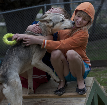 Brianna Spencer, 8, of Georgetown, is pictured February 10, 2013, as she gets to know Dusty, a dog for adoption at the Georgetown Animal Shelter. 