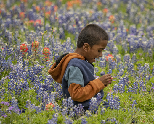 Gauraansh Nan, 5, sits in a field of wildflowers and looks through things he collected in his Easter eggs.