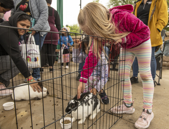 Ava Delgado, 5, pets a rabbit brought by Petsense by Tractor Supply, a pet store in Taylor.