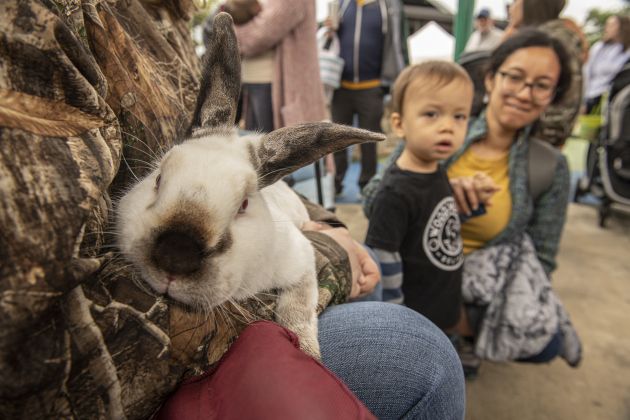 Boo Boo, a rabbit owned by Cheyenne O'Banan, is admired by Kristina Canale and her son Joshua, 2.