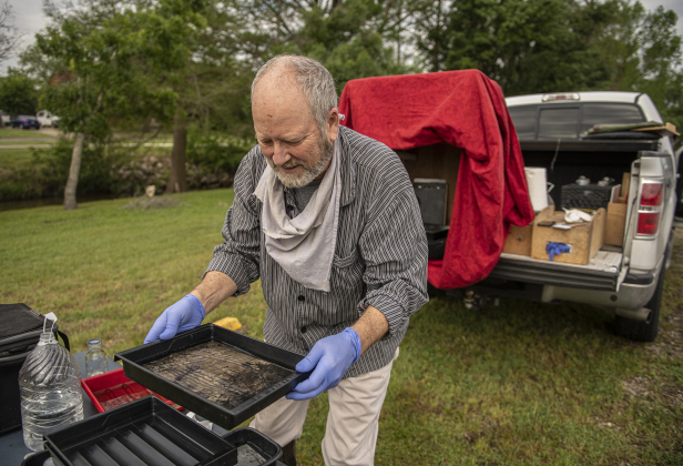 Cavness develops and fixes an exposed glass plate.