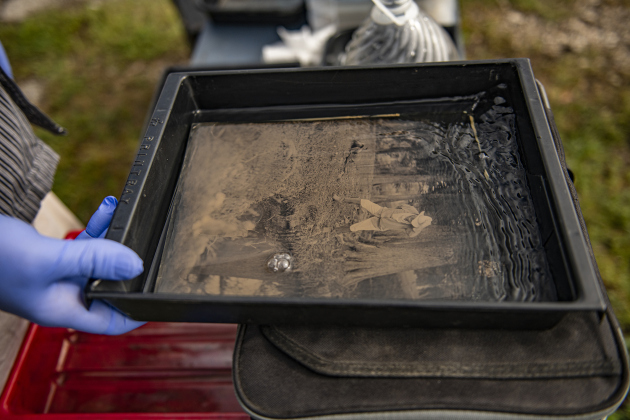 Cavness processes an exposed glass plate.