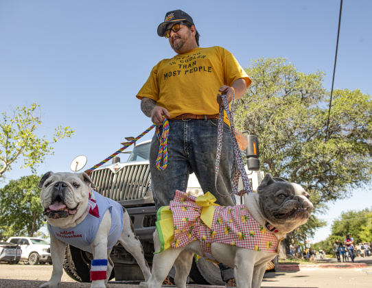Jeff Lanfear and Bronson, left, his English bulldog, and Zoso, right, his French bulldog, were participants in the Popp Pup Parade in downtown Georgetown.