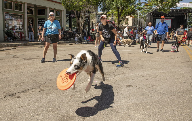 Vanessa Fanelli (center, in black shirt) and her dog Levy, shown along 8th Street, were participants in this year's Popp Pup Parade.