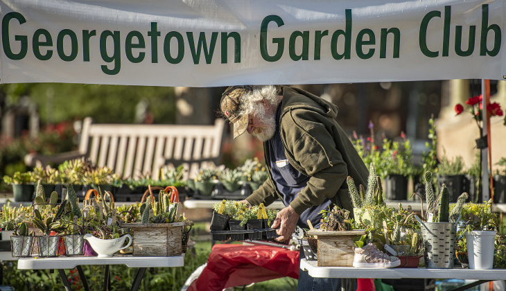 David Mertink helps arrange plants for the Georgetown Garden Club's offerings at 7th and Main Streets.