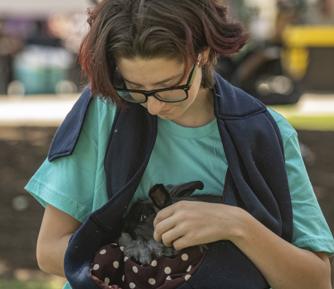 19-year-old Elizabeth Thompson pets one of three Lionhead bunnies offered for free by Jenn McPeak.  Elizabeth and her family planned to make this bunny a part of their family.
