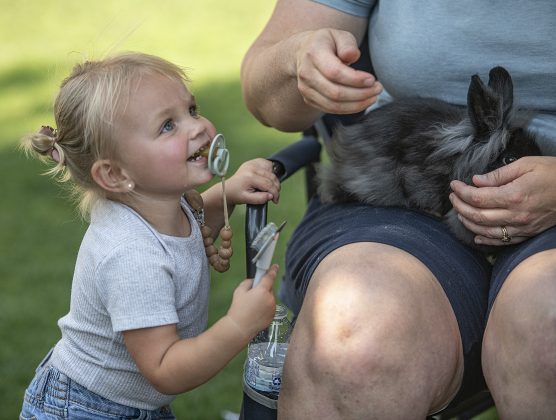 One-and-a-half year-old Taytum Flores smiles at a 3-month-old Lionhead bunny held by Jean McPeak.