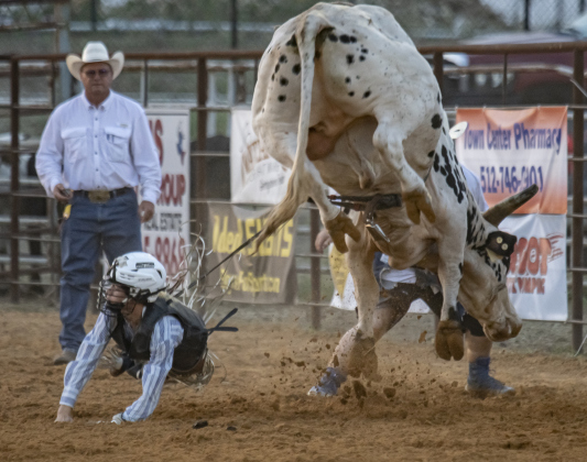 Kaden Earl of Jarrell gets thrown from a bull.