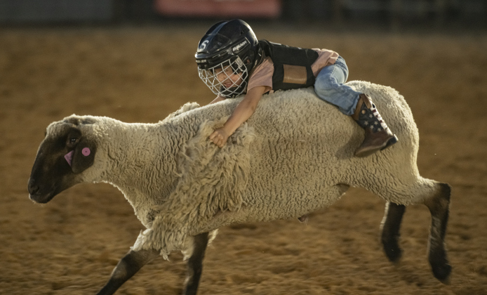 A contestant holds on tight during Mutton Bustin'.