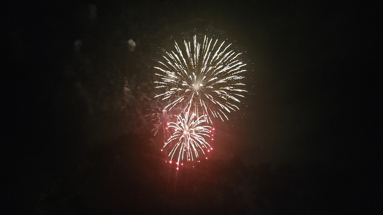 Fireworks light up the sky over the tree line at San Gabriel Park. Photo by Heather Beckham Photography
