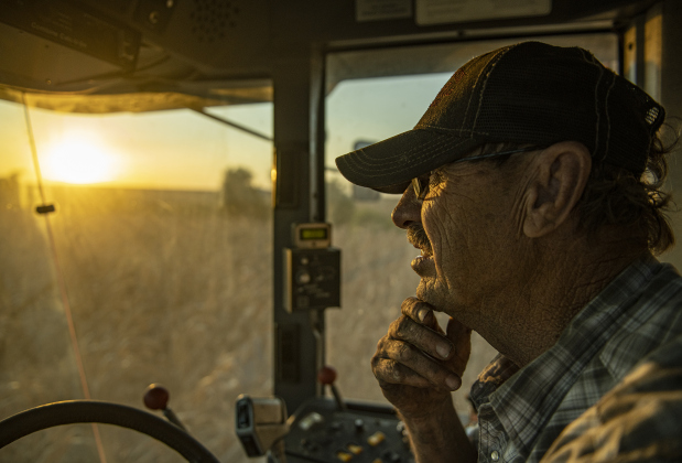 Larry Svehlak, 70, guides his combine through a cornfield along County Road 340 July 8, as he continues his final harvest before retiring. Svehlak and his brother August are harvesting 450 acres this summer. 