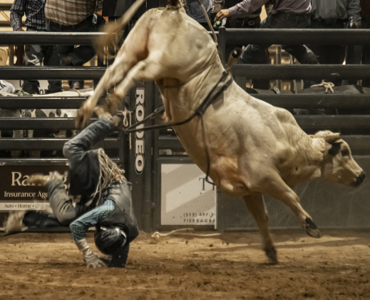 Zachary Miles of Nixon, Texas gets thrown during Bull Riding.