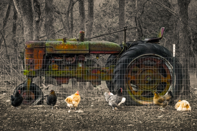 Sherilyn Vineyard’s photography is on display in the Café Gallery through August 31.