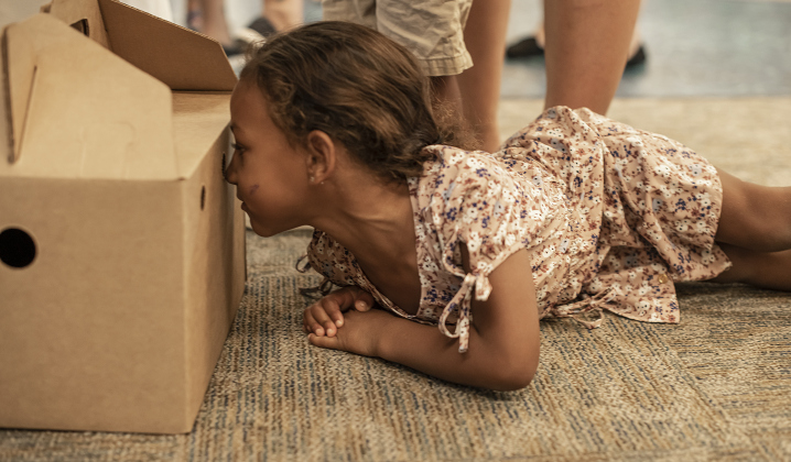 4-year-old Kacelyn Miles takes a peek inside the carrier at one of the two kittens her family adopted during the Georgetown Animal Shelter's kitten adoption event held at the Georgetown Public Library.
