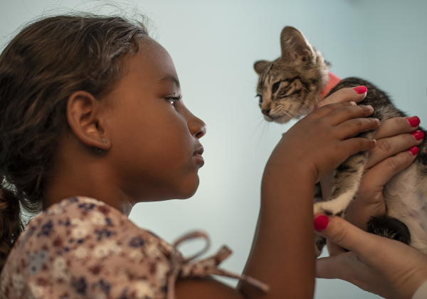 4-year-old Kacelyn Miles pets a kitten held by her mom Liz Miles.