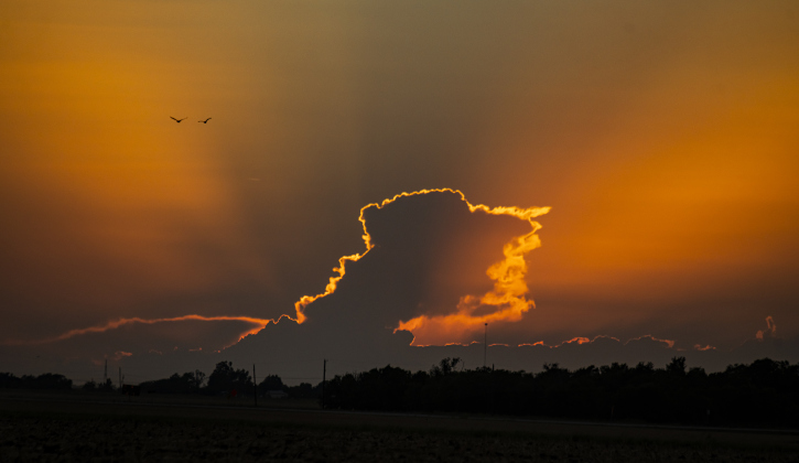 Ibis  fly over a sunset adorned with clouds over Taylor's Bill Pickett Trail on Wednesday, August 9.