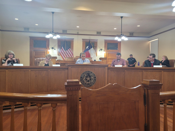 Williamson County Elections Commission votes to approve elections administrator Chris Davis resignation at August 9 meeting. Photo by Nalani Nuylan.