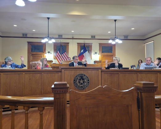Williamson County Commissioners Court members vote to set the tax rate and  2024 budget during their Tuesday meeting. Photo by Nalani Nuylan.