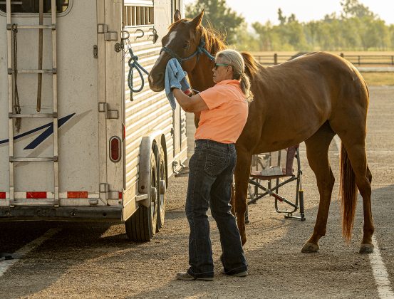 Jane Armstrong, a barrel racer from Bryan, Texas, gets her horse Mimosa ready for competition.