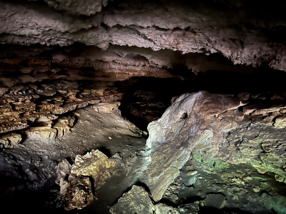 Pecan Springs Karst Preserve in Jarrell. The cave is home to Tricolored Bats. Courtesy Rachael Lindsey.