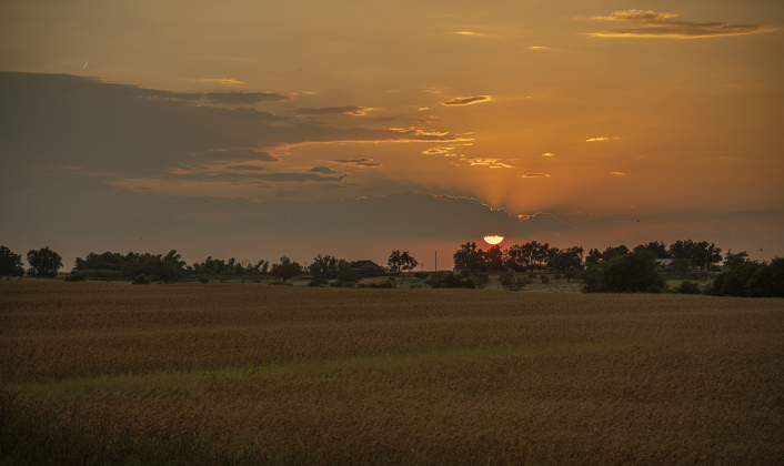 The sun begins to go down over a cornfield along County Road 101, near Hutto, on Tuesday, August 1, 2023.
