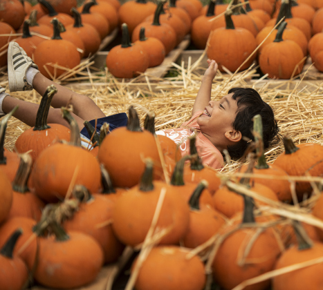 Two-and-a-half year-old Abraham Painchaud relaxes in soft hay after placing pumpkins.